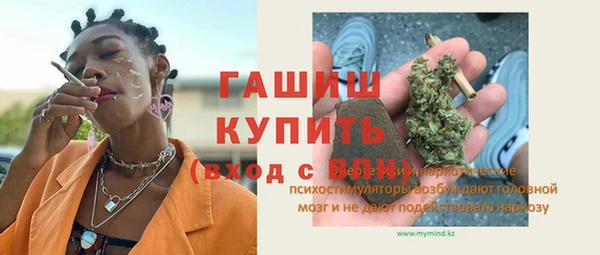 мдпв Бородино
