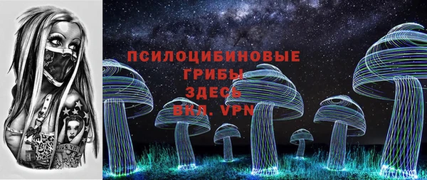 стаф Бронницы