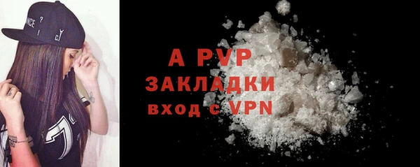 мдпв Бородино