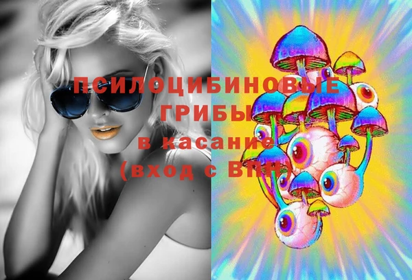 мдпв Бородино