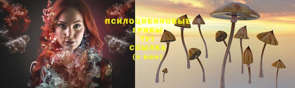 дурь Богородск