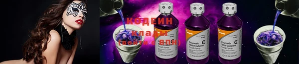 мдпв Бородино