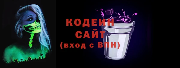 мдпв Бородино