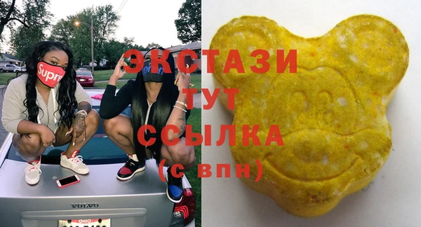 мдпв Бородино
