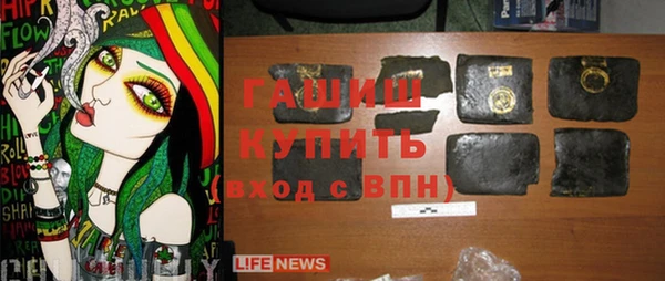 мдпв Бородино