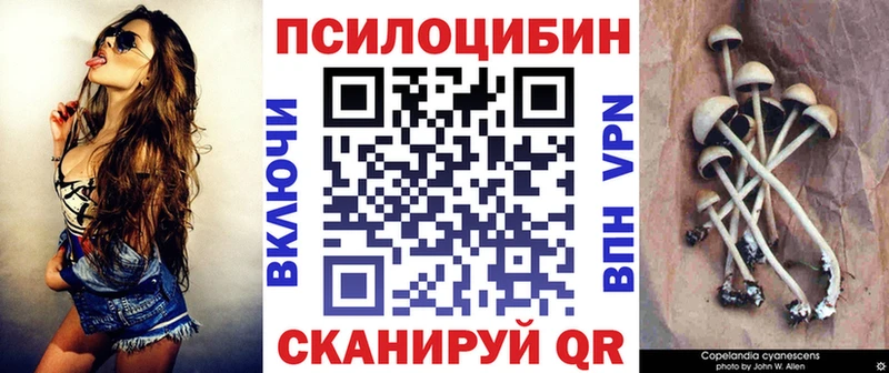 KRAKEN ссылки  Топки  Галлюциногенные грибы мухоморы 
